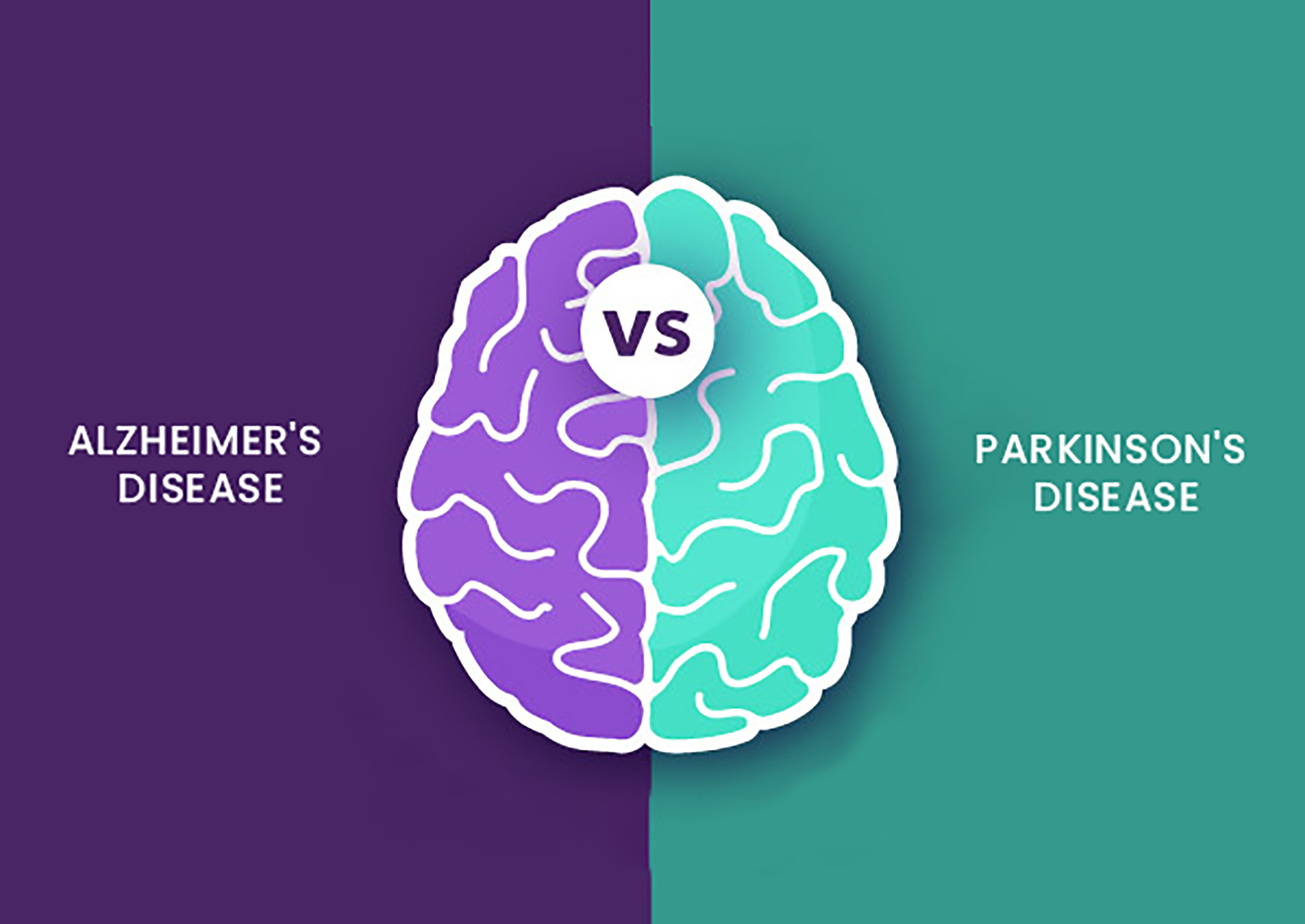 Understanding the Differences between Alzheimer's and Parkinson's Disease