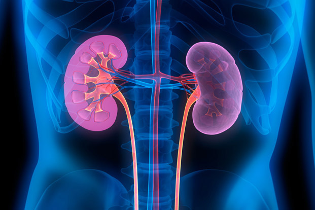 Chronic Kidney Disease – The Silent Killer