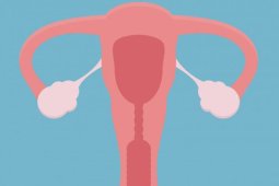 Ovarian Cancer- Don't Ignore The Symptom