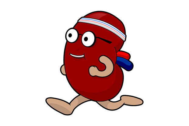 High BP and Hypertension can Cause Kidney Disease.