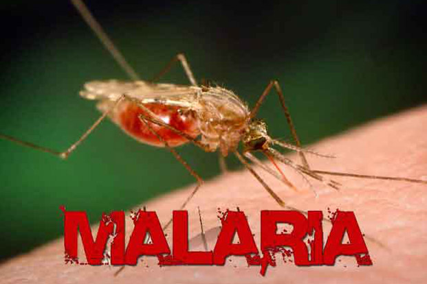 signs and symptoms of malaria