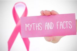 Myths and Facts of Breast Cancer