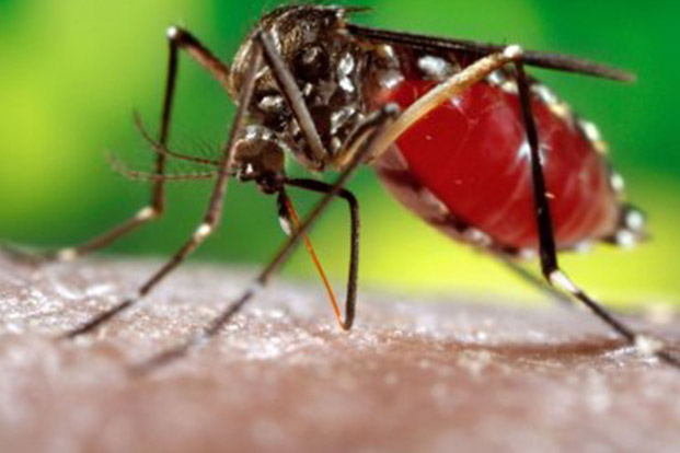 Complications of Severe Dengue