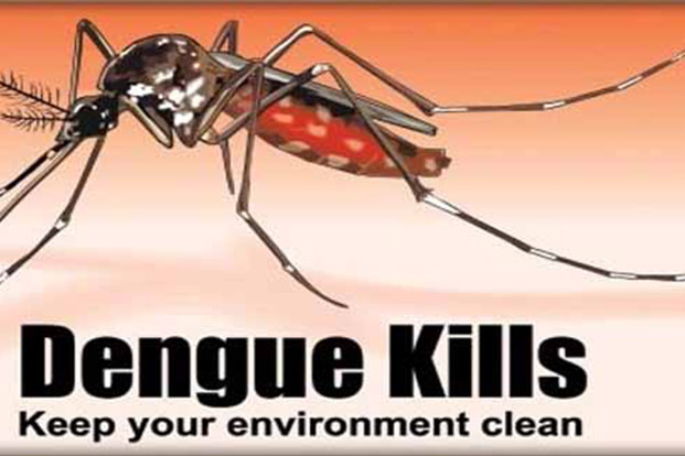 preventions of Dengue Fever