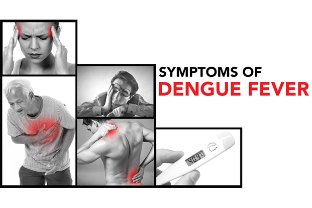 Early Signs and Symptoms of Dengue Fever