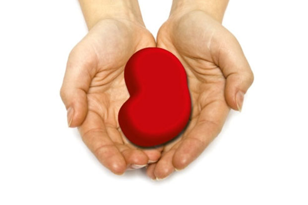 Important Aspects for Kidney Transplant