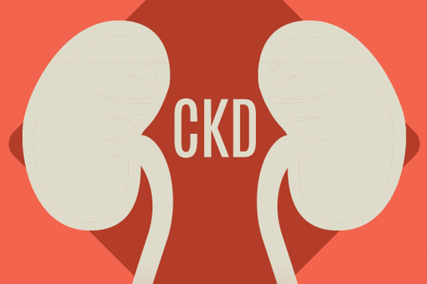 Causes of Kidney Failure