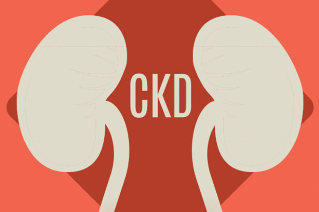 Common Causes of Kidney Failure