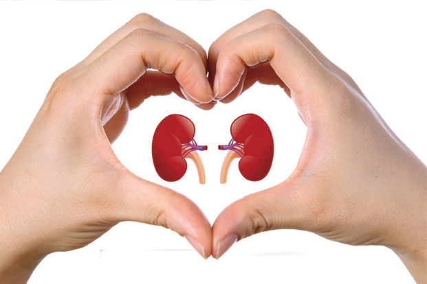 Chronic Kidney Disease - Diagnosis, Treatment and Prevention