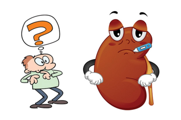 Kidney Failure When Do You Need A Transplant