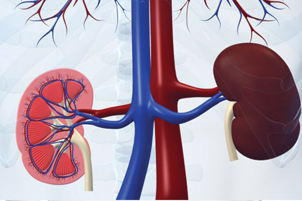 Signs & Symptoms of Kidney Disease