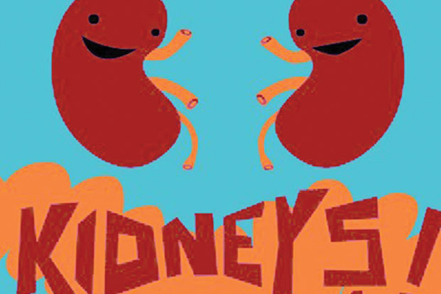 How Kidney Functions