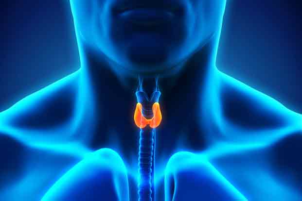 How to Heal Your Thyroid Naturally