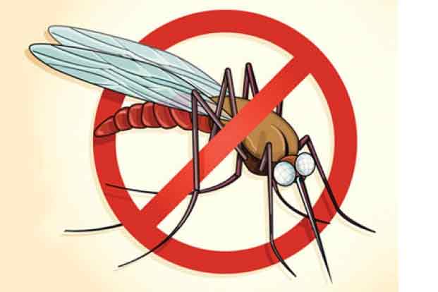 Long term effects of malaria