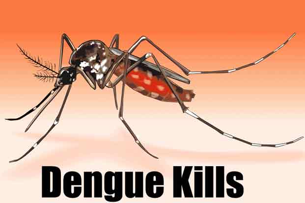 Is there any Vaccine to Prevent Dengue ?