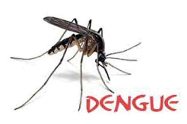 Signs of Dengue Fever