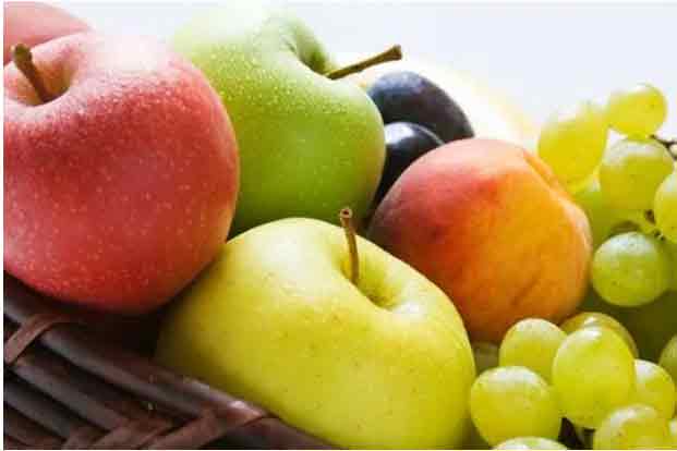 healthy diet for malaria patients