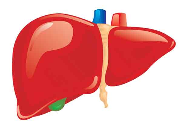 Liver function tests