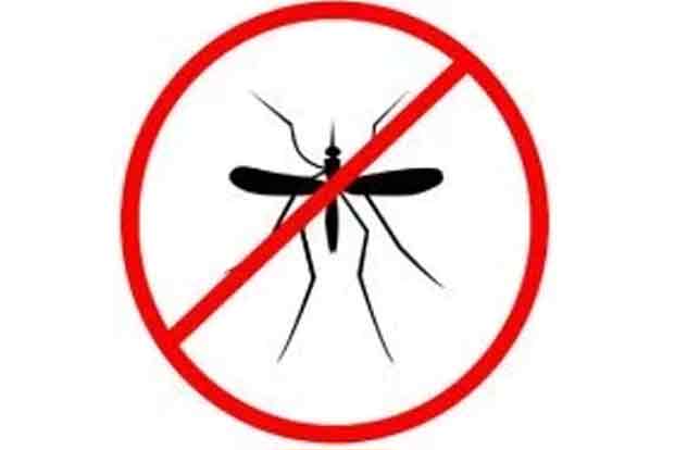 Malaria During Pregnancy