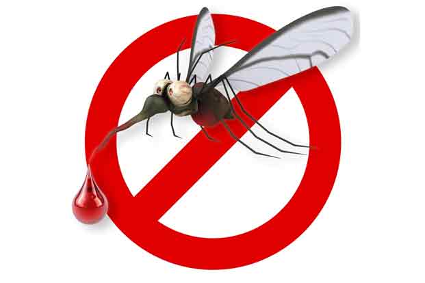 diagnose and treatment of malaria