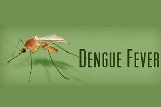 Symptoms of Dengue Fever