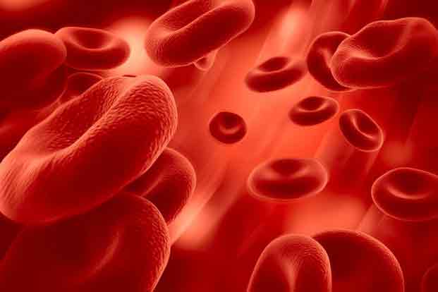 Is Thalassemia Curable?