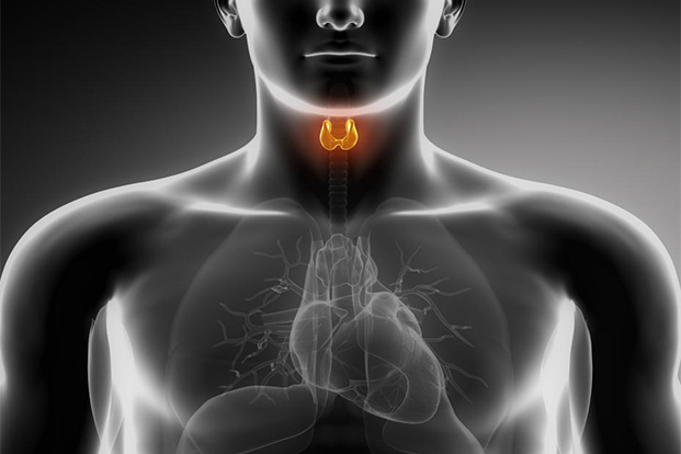 Hyperthyroidism – Early Diagnosis and Treatment is Essential