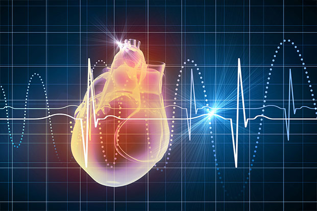 resting heart rate