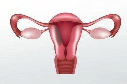 Uterine Cancer - Risk Factors and Prevention