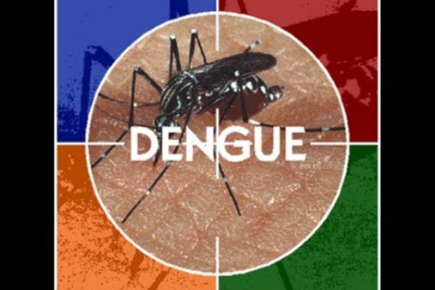tips to control Dengue