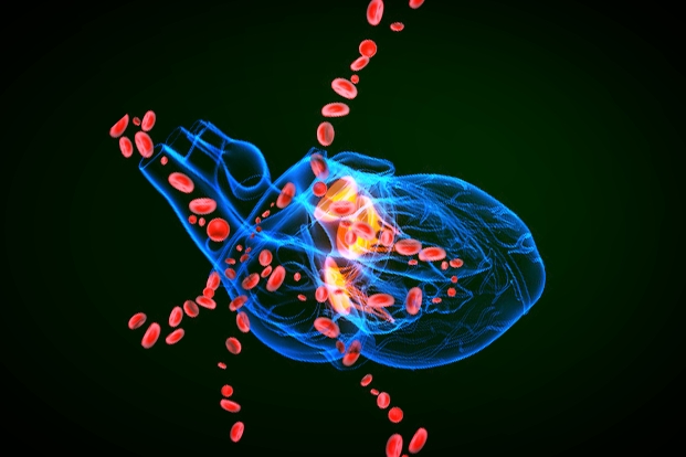 Treatment of coronary artery disease