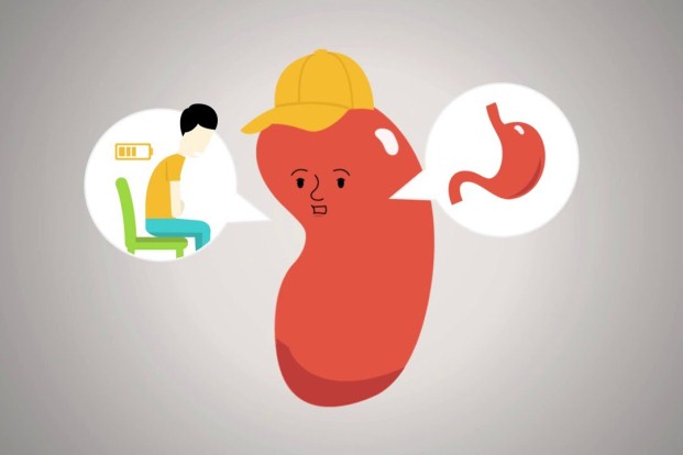 Kidney Functions, Risks & 8 Golden Rules of Preventing Chronic Kidney Disease