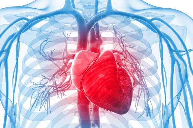 What is Primary Coronary Angioplasty?