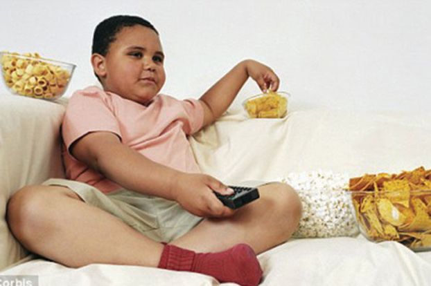 Obesity in childhood