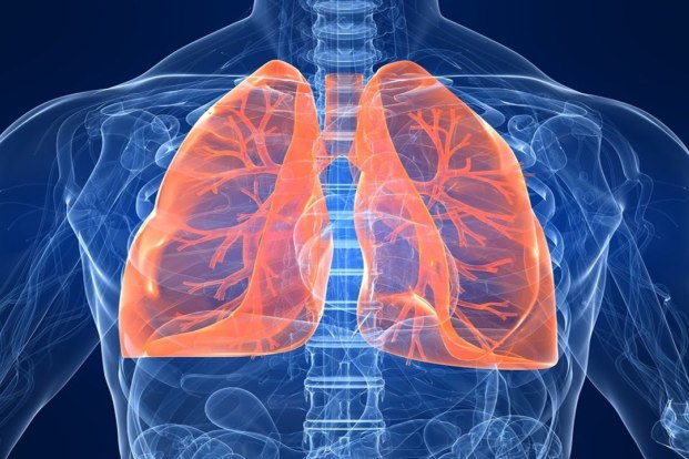 The Causes and Risk factors for COPD