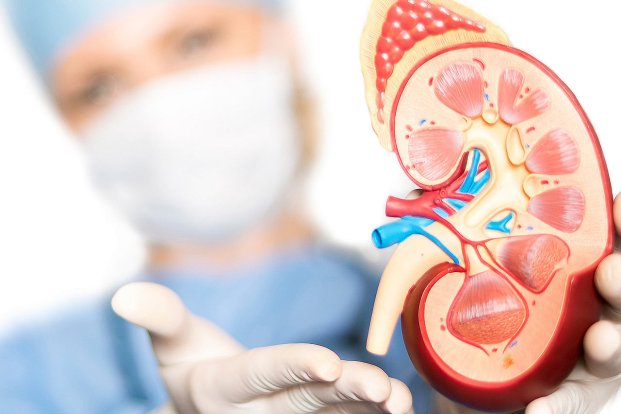 How successful are kidney transplant surgeries?