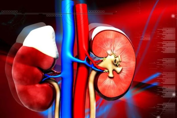 How long does it take to recover from a kidney transplant?