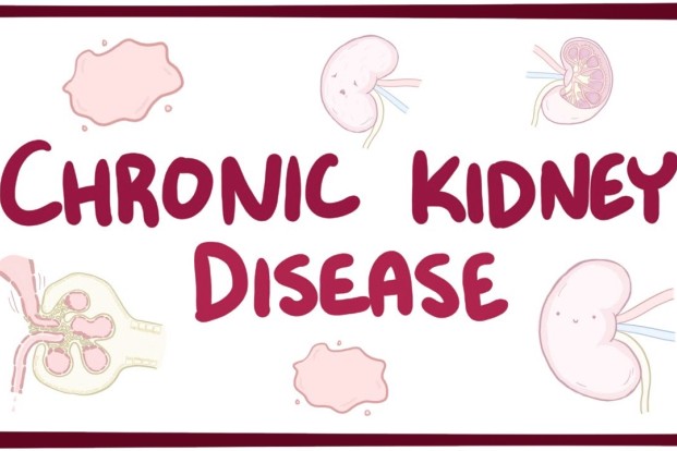 Causes of Kidney Diseases