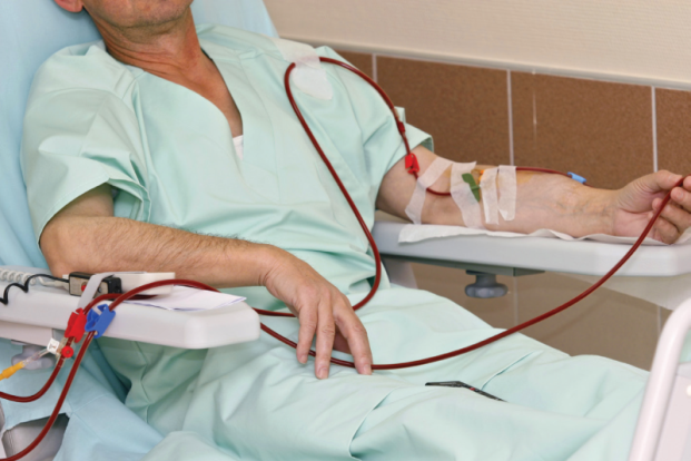 What is Serum Creatinine?