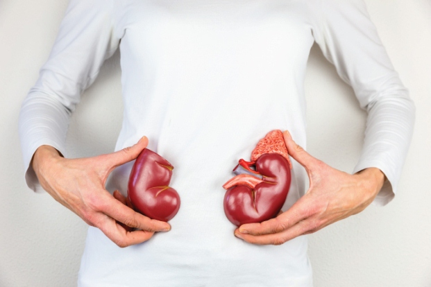 Lifestyle changes which help with Kidney Disease