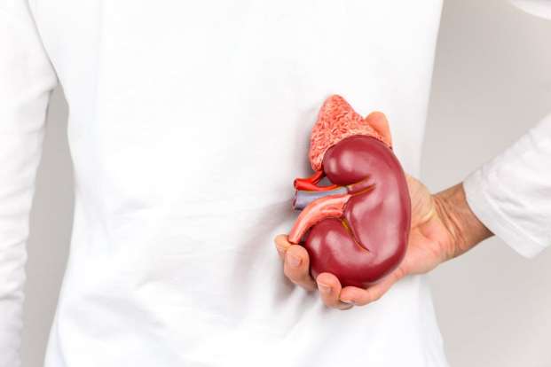 Can Obesity lead to Kidney Failure?