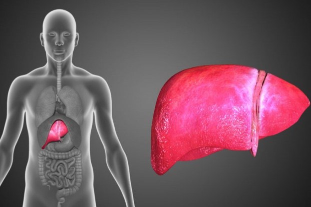 What are the different types of primary Liver Cancer ?