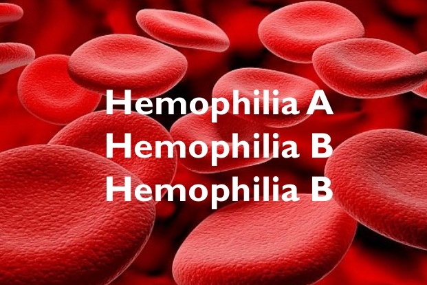 What is the difference between Haemophilia A and Haemophilia B?