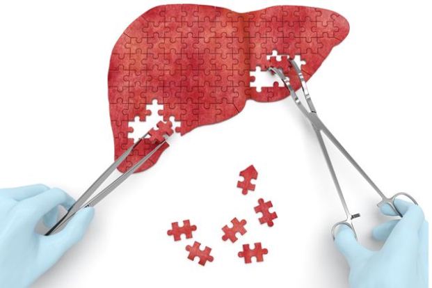 How can I keep my Liver Healthy?