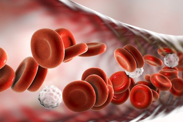 Blood disorders that affect Red blood Cells