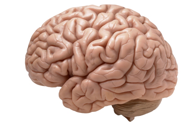 Causes, risk factors and symptoms of Brain tumor