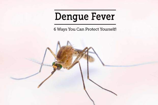 15 Tips to Stay Safe from Dengue Fever