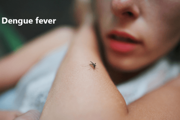 How Long Does It Take to Recover from Dengue Fever