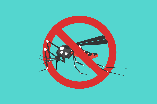 What can the community do to prevent dengue?