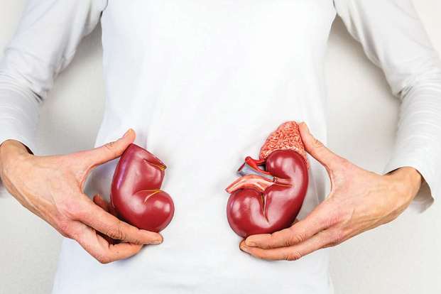What are the risk factors for developing kidney disease?